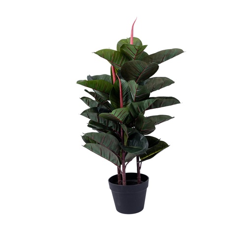 [889925] Papiro 95 Cms Grouw